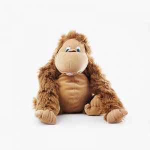 Ottawa Recycled Rain Set